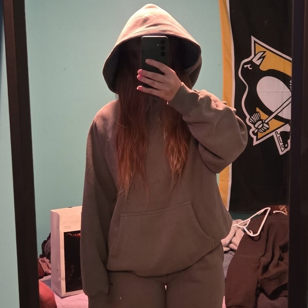 Aritzia Cozy Sweatfleece Mega Raglan Hoodie - Smoky Sage - Picture 1 of 4